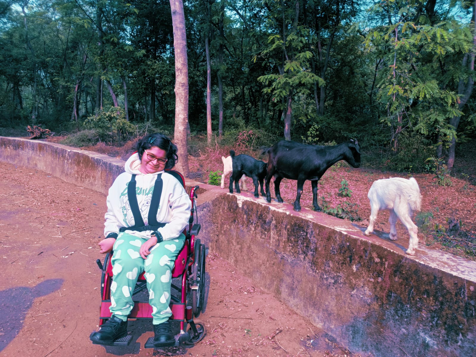 Wheelchair user planning trip